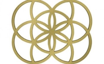 María de los Ángeles Casal - MDLAC