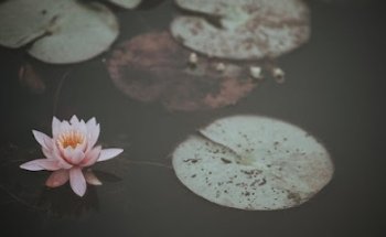 Shenti Wellness - Acupuntura Mollet del Vallés