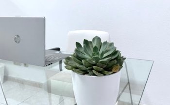 nutwin nutrición merida