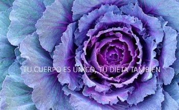 Habits, Coaching Nutricional