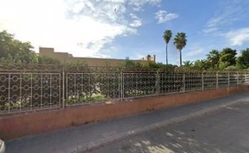 Nutricionista online y coach