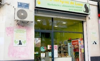 Las terapias de Luna