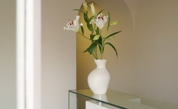 Terral · Clínica de Osteopatía & Yoga Studio ·