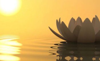 Naturopatia Manual - Montse Salvà