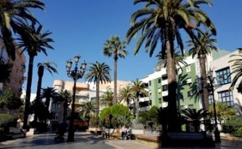 Eli Vicci Nutrición