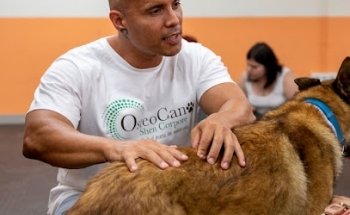 Gastón Santacecilia Osteópata