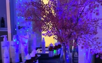 Plocher Beauty Concept