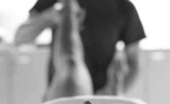 Centro José Camacho