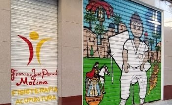 Fisioterapia Elche - Clínica Francisco José Pascual Molina