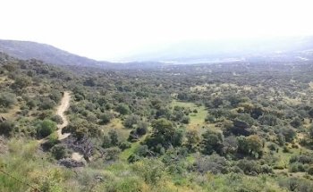 Clínica Medicontrol