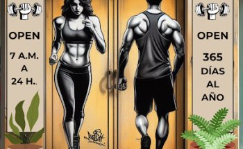 GIMNASIO GALEA WELLNESS CENTER. Entrenamientos-Fisioterapia-Dietetica