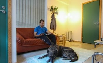 Qi-Optima Complementary Health Care