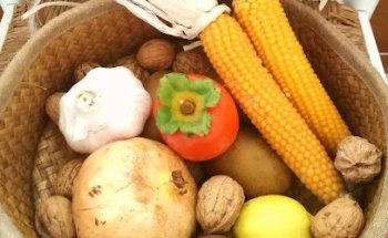 Alexandra Niñerola Physiotherapy