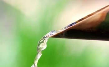 Sanamente.net es una guía y directorios profesionales de Salud Natural, productos eco, yoga, terapeutas