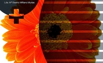 Farmacia Miñano Lda. Mª Beatriz Miñano Murias