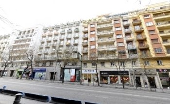 LA VENTANA NATURAL Alcalá 168