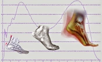 Podología, Fisioterapia/Osteopatía y Nutrición PODODINÁMICA