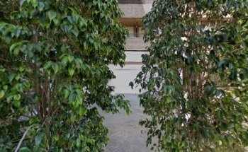 Nutribán Murcia - Nutrición Personalizada