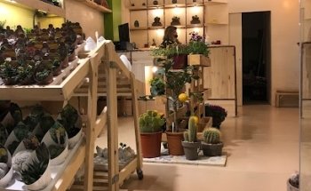 Green Soul Society CBD Barcelona