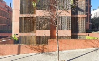 Dra. Virginia Vicario Hernández, Médico estético