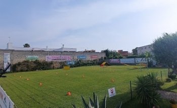 Centro di Addestramento Cinofilo Polifunzionale SCISAR - Scuola Cinofila Italiana