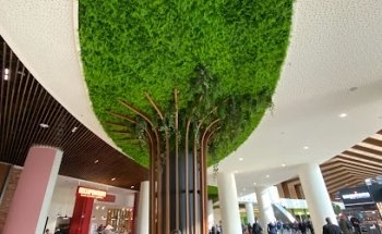 Dott. Jacopo Rava - Nutrizionista