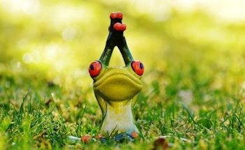 Paolo Nuzzolillo Nutrizionista