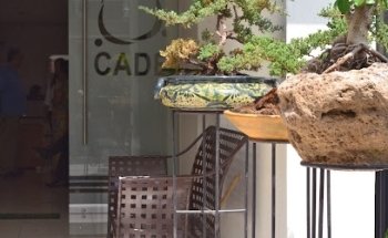 Clínica de Ansiedad, Depresión, Estrés Anorexia, Bulimia y Comer Compulsivo CADE