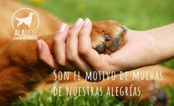 Centro Veterinario Álamos