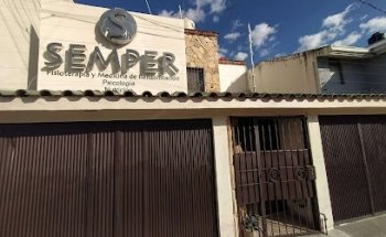 Semper. Fisioterapia y Medicina de Rehabilitación.