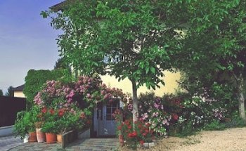 Tierarztpraxis Tresdorf