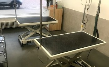 Dierenspeciaalzaak Calimero