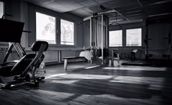 shape shifters arnhem