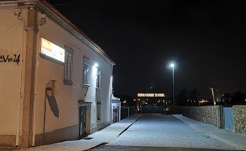 Trofavet24-Carinho Animal