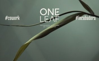 One Leaf LISBOA - Incubadora e cowork de terapeutas