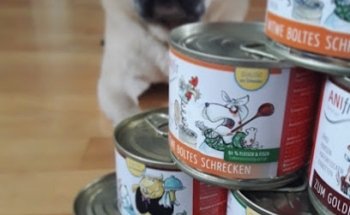 Anifit Tiernahrung für Hunde & Katzen - Anifit Online Shop - B.Schötz