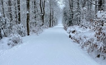 Praxis Dr. med Gerhard Rudorf