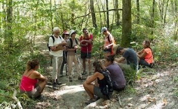 Les Crocodiles Jaunes Jeûne Randonnée