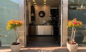 Fission Fusion Fitness