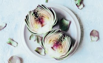 The Naturopathic Co.