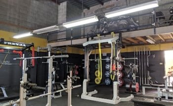 Lifters League | Powerlifting Coaching