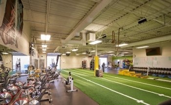 Pure Lifestyle - Empress