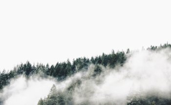 Pine Integrated Health Centre