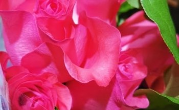 Serenity Massage Therapy