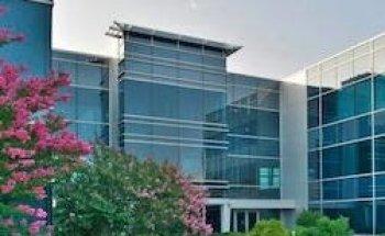 Sono Bello King of Prussia