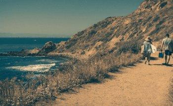 Taylor Chiropractic & Laser Center