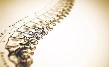 Monterey Chiropractic Group