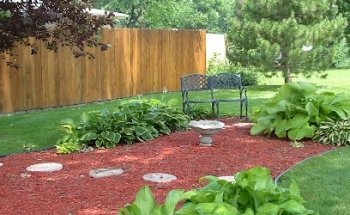 Your Wellness Connection