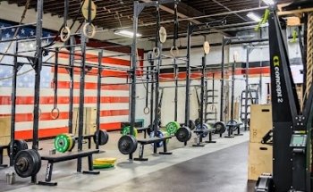 Live Free Health & Fitness