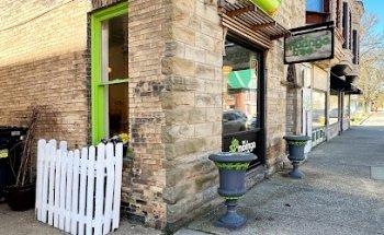 The Moringa Tree Organic Kitchen & Wellness Studio